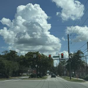 Photo #5 of Sunflower Dr., Cades, SC 4.5 acres