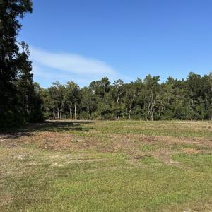 Photo #2 of TBD Cane Branch Church Rd., Conway, SC 1.0 acres