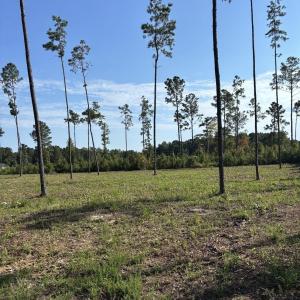 Photo #1 of TBD Cane Branch Church Rd., Conway, SC 0.6 acres