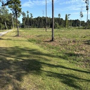 Photo #1 of TBD Cane Branch Church Rd., Conway, SC 0.5 acres