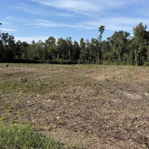 Photo #1 of TBD Cane Branch Church Rd., Conway, SC 0.6 acres