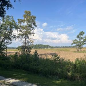 Photo #2 of TBD Warham Dr., Georgetown, SC 0.3 acres