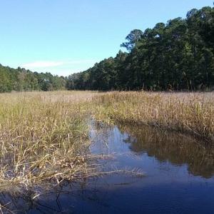 Photo #34 of TBD Warham Dr., Georgetown, SC 0.3 acres