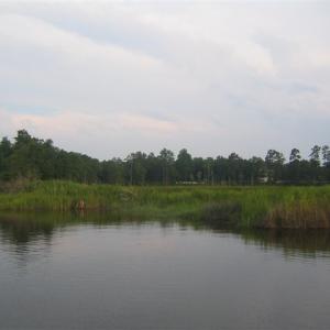 Photo #17 of TBD Warham Dr., Georgetown, SC 0.3 acres