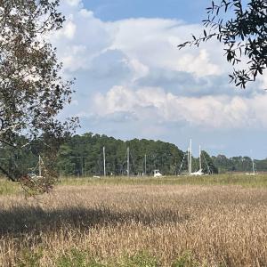 Photo #3 of TBD Warham Dr., Georgetown, SC 0.3 acres