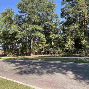 Photo #8 of TBD Warham Dr., Georgetown, SC 0.3 acres