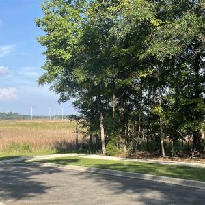 Photo #7 of TBD Warham Dr., Georgetown, SC 0.3 acres