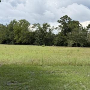 Photo #4 of TBD Holly View Ln., Loris, SC 1.0 acres