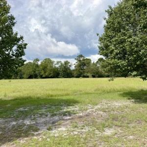 Photo #2 of TBD Holly View Ln., Loris, SC 1.0 acres