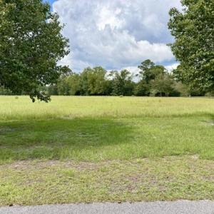 Photo #1 of TBD Holly View Ln., Loris, SC 1.0 acres
