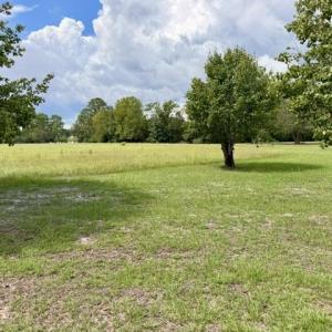 Photo #3 of TBD Holly View Ln., Loris, SC 1.0 acres