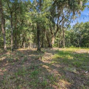 Photo #19 of 455 Crow Hill Dr., Georgetown, SC 3.4 acres
