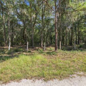 Photo #14 of 455 Crow Hill Dr., Georgetown, SC 3.4 acres