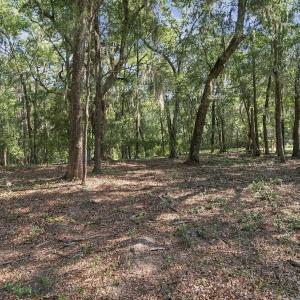 Photo #8 of 455 Crow Hill Dr., Georgetown, SC 3.4 acres