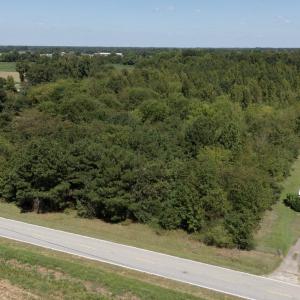 Photo #6 of TBD Black Branch Rd., Dillon, SC 0.7 acres