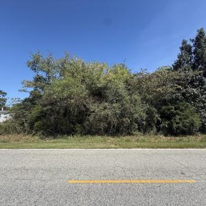 Photo #2 of TBD Black Branch Rd., Dillon, SC 0.7 acres