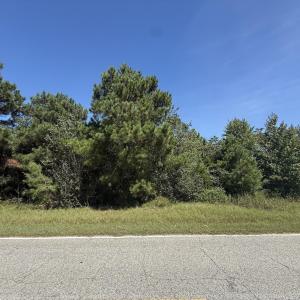 Photo #3 of TBD Black Branch Rd., Dillon, SC 0.7 acres