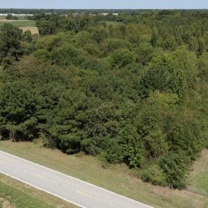 Photo #6 of TBD Black Branch Rd., Dillon, SC 0.7 acres
