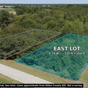 Photo #1 of TBD Black Branch Rd., Dillon, SC 0.7 acres