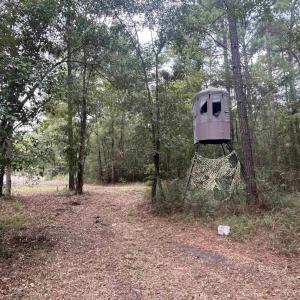 Photo #35 of TBD Highway 905, Conway, SC 87.3 acres