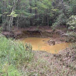 Photo #38 of TBD Highway 905, Conway, SC 87.3 acres