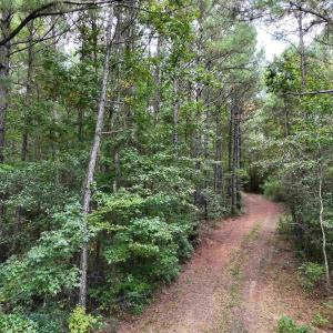 Photo #11 of TBD Highway 905, Conway, SC 87.3 acres