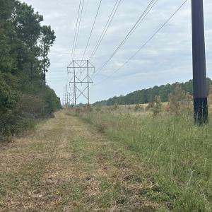Photo #39 of TBD Highway 905, Conway, SC 87.3 acres