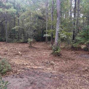 Photo #18 of TBD Highway 905, Conway, SC 87.3 acres