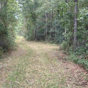 Photo #41 of TBD Highway 905, Conway, SC 87.3 acres