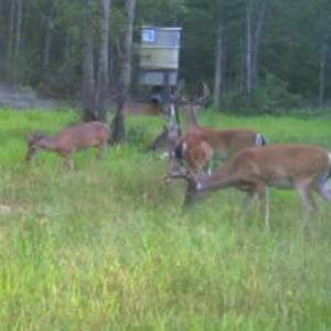 Photo #45 of TBD Highway 905, Conway, SC 87.3 acres