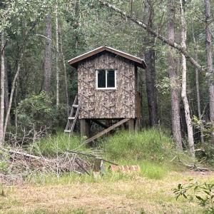 Photo #29 of TBD Highway 905, Conway, SC 87.3 acres