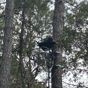 Photo #31 of TBD Highway 905, Conway, SC 87.3 acres