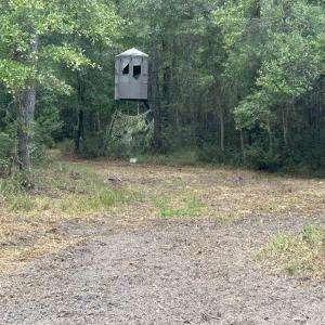 Photo #34 of TBD Highway 905, Conway, SC 87.3 acres