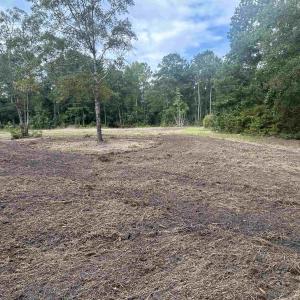 Photo #17 of TBD Highway 905, Conway, SC 87.3 acres