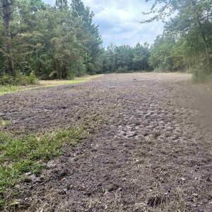 Photo #37 of TBD Highway 905, Conway, SC 87.3 acres
