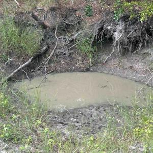 Photo #23 of TBD Highway 905, Conway, SC 87.3 acres