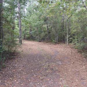 Photo #13 of TBD Highway 905, Conway, SC 87.3 acres