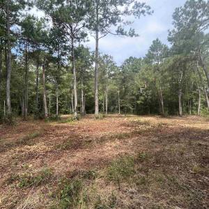 Photo #24 of TBD Highway 905, Conway, SC 87.3 acres