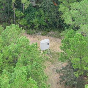 Photo #9 of TBD Highway 905, Conway, SC 87.3 acres
