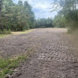 Photo #36 of TBD Highway 905, Conway, SC 87.3 acres