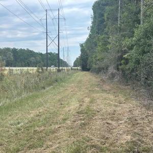 Photo #40 of TBD Highway 905, Conway, SC 87.3 acres