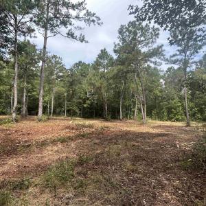 Photo #25 of TBD Highway 905, Conway, SC 87.3 acres