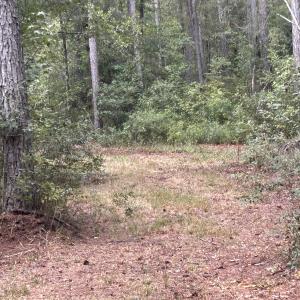 Photo #30 of TBD Highway 905, Conway, SC 87.3 acres