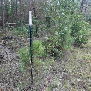 Photo #19 of TBD Highway 905, Conway, SC 87.3 acres