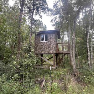 Photo #26 of TBD Highway 905, Conway, SC 87.3 acres