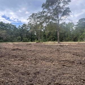 Photo #16 of TBD Highway 905, Conway, SC 87.3 acres