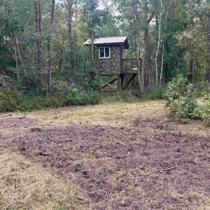 Photo #27 of TBD Highway 905, Conway, SC 87.3 acres