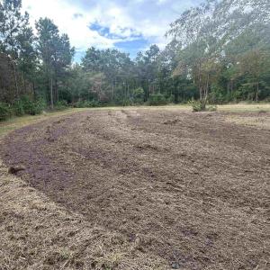 Photo #15 of TBD Highway 905, Conway, SC 87.3 acres