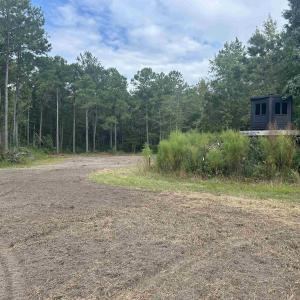 Photo #22 of TBD Highway 905, Conway, SC 87.3 acres