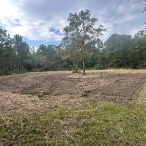 Photo #14 of TBD Highway 905, Conway, SC 87.3 acres